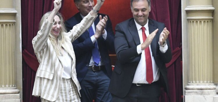 milei-celebrola-votacion-diputados-dijo-ley-termina-industria-juicio-1125087-012202