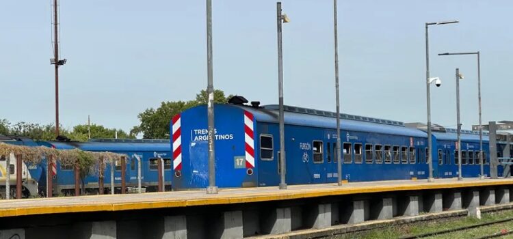 paro-trenes-2jpg copia