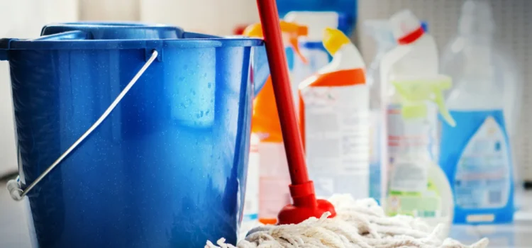 servicio-domestico-20