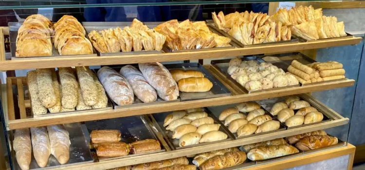 09690000-0a00-0242-f236-08da6b3b1abc_w1080_h608