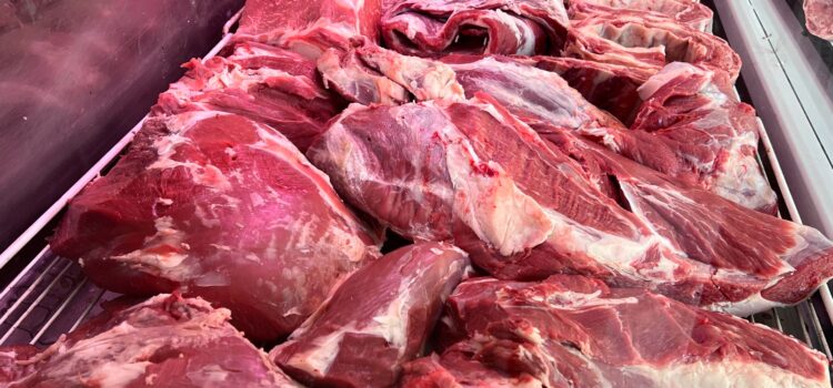 WhatsApp-Image-2026-03-19-at-18.44.00