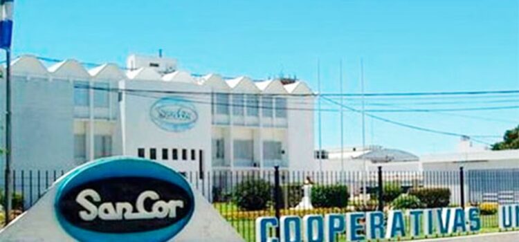 o_58ad209922eceb1b476536024d416196