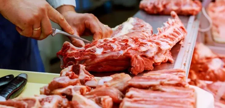 carne-5e997a4e8de76jpeg